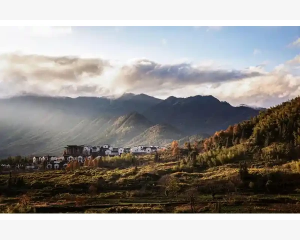 B2B电商交易规模增长趋势与市场格局解读