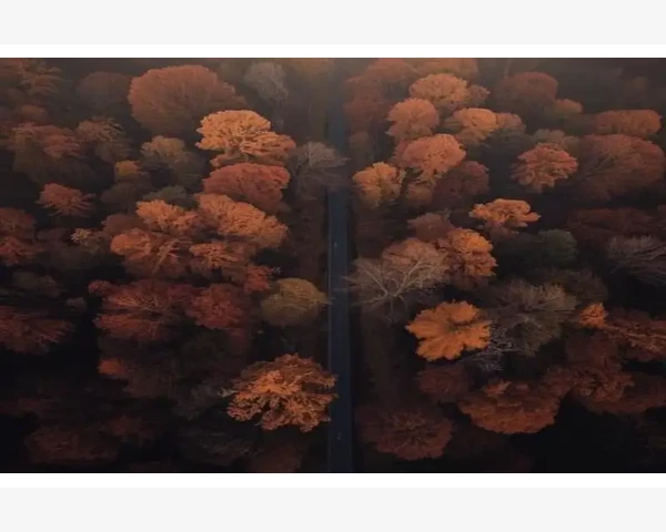 吃什么容易扰乱脾胃呢？